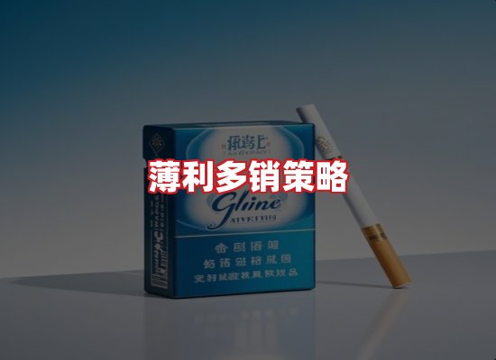 专业团队